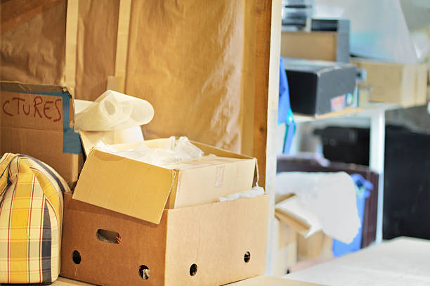 Best Same-Day Junk Removal  in Reading, MI